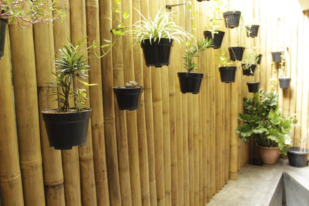 Teduh Hostel Kota Tua Jakarta Exteriér fotografie